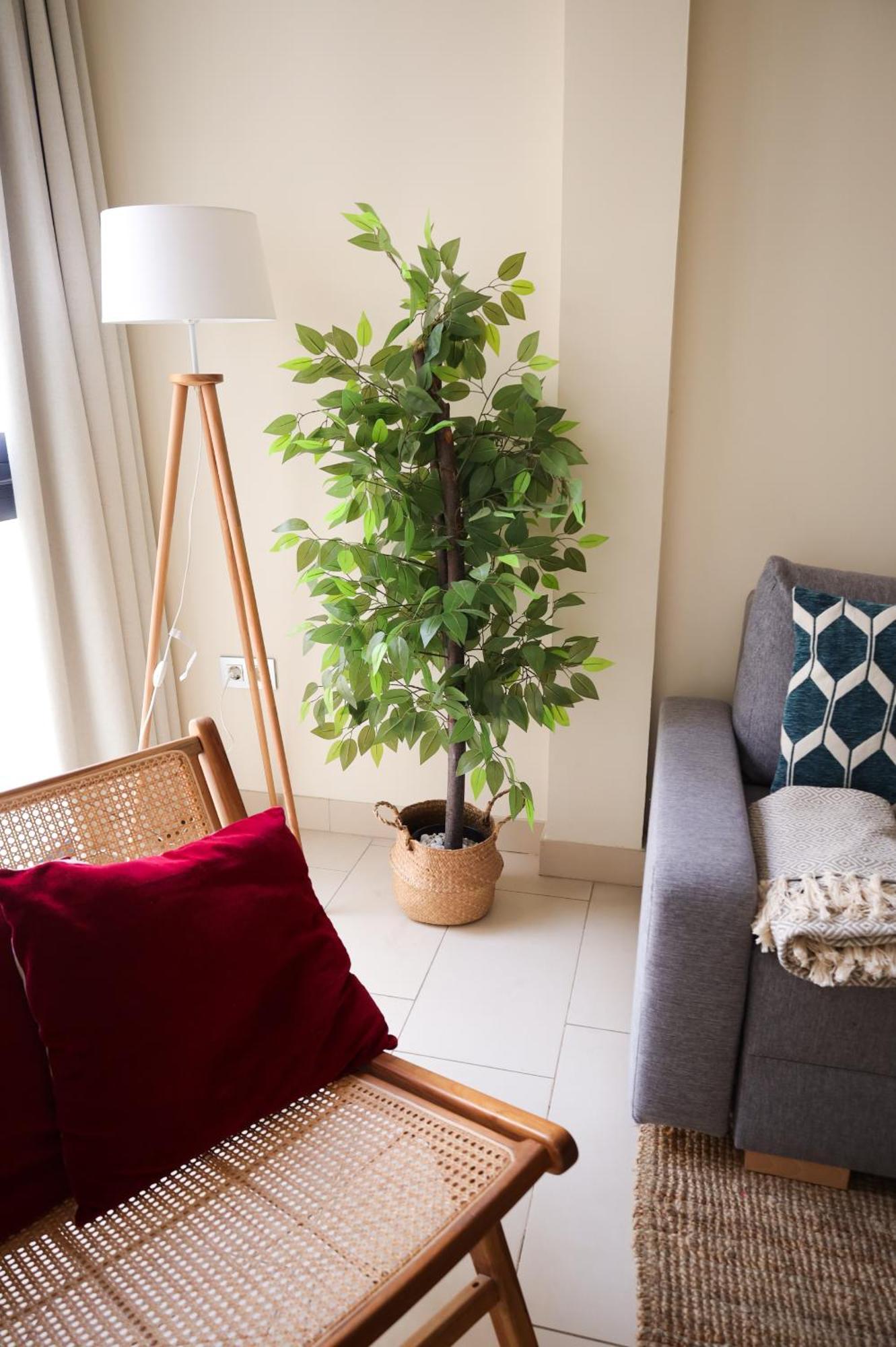 คิวแอนด์คิว คาเตรดราล สวีท Apartment เซบีญา ภายนอก รูปภาพ